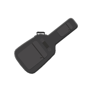 Guitar case