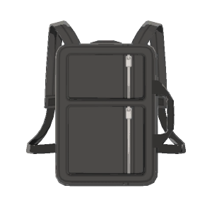 Professional backpack