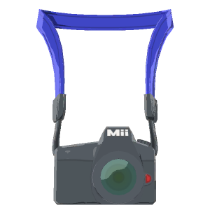 DSLR camera
