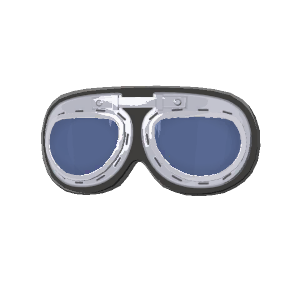 Goggles