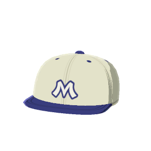 Baseball cap