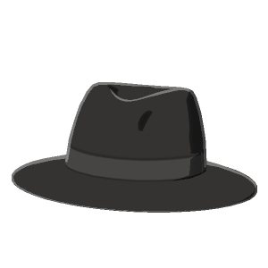 Wide-brim felt hat