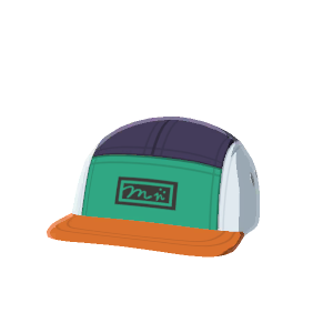 5-panel cap