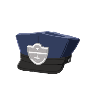 Police hat