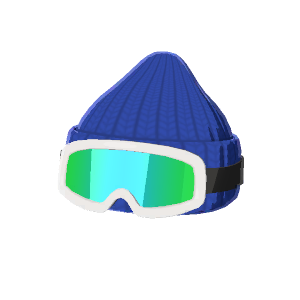 Ski hat and goggles