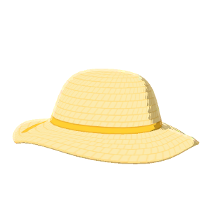 Wide-brim straw hat