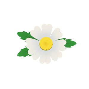 Daisy hairpin