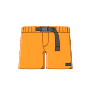 Hiking shorts