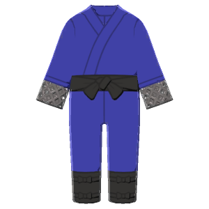 Ninja attire