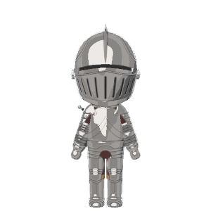 Knight costume