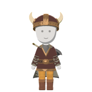 Viking costume