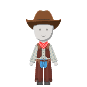 Rodeo-rider costume