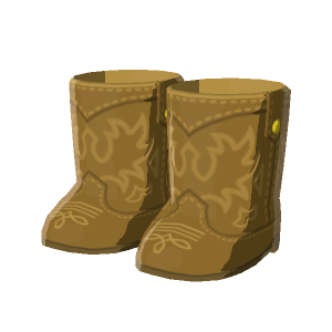 Western boots