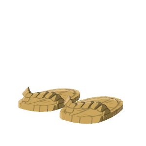 Straw sandals
