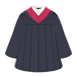 Graduation robe