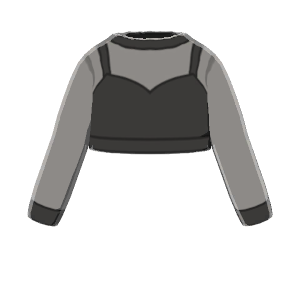 Long-sleeve crop top