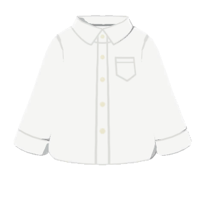 Basic dress shirt