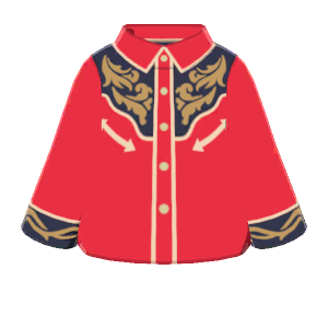 Western shirt