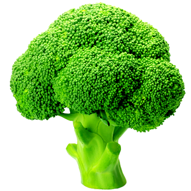 Broccoli