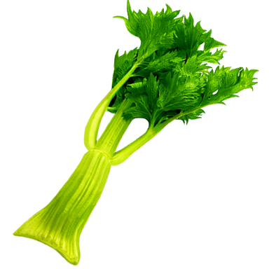 Celery