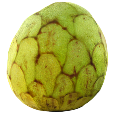 Cherimoya