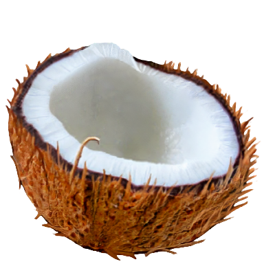 Coconut