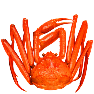 Crab