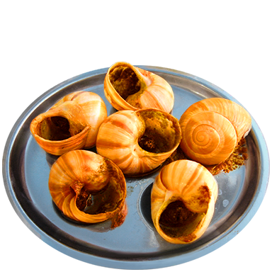 Escargot