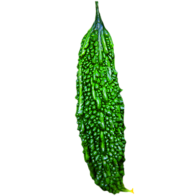 Bitter melon