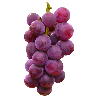 Grapes