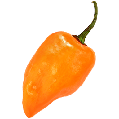 Habanero