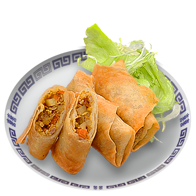 Fried spring rolls