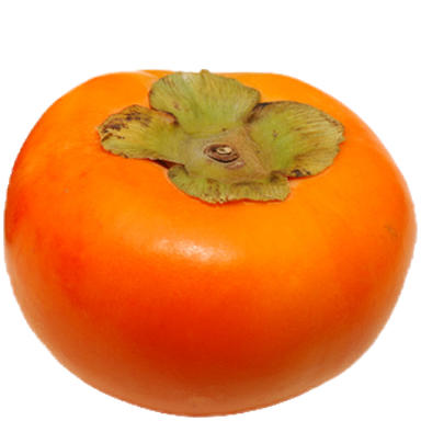Persimmon