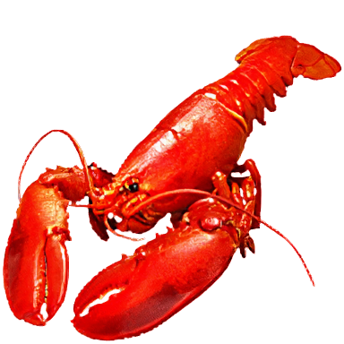 Lobster