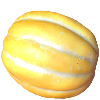 Oriental melon