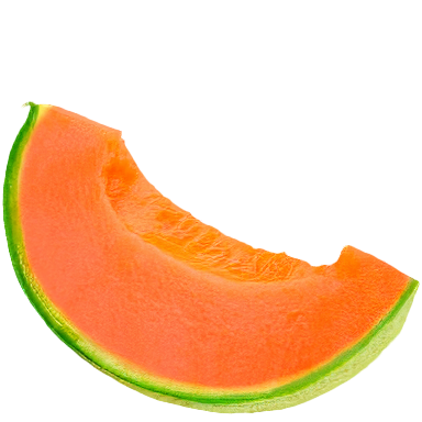 Melon
