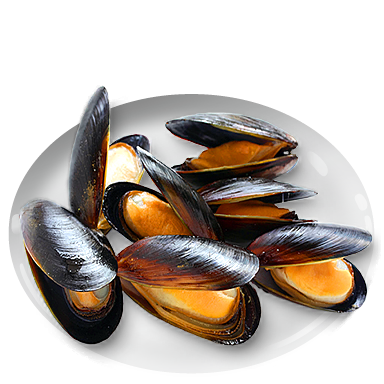 Mussels