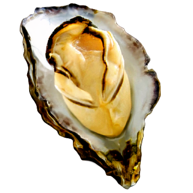 Oyster