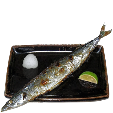 Grilled pacific saury