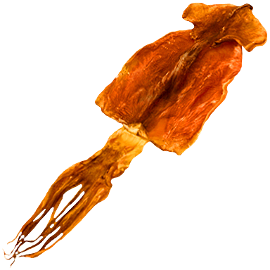 Dried squid