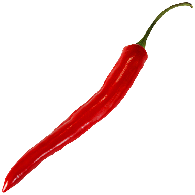 Red chili pepper