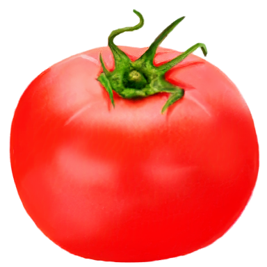 Tomato