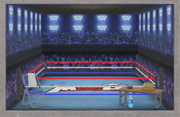 Wrestling Ring set