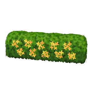 Hedge (fragrant-olive)