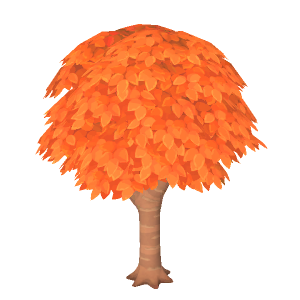 Hardwood tree (fall colors)