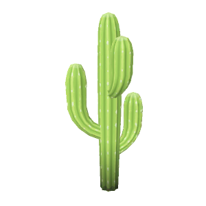 Cactus