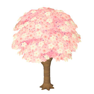 Cherry-blossom tree