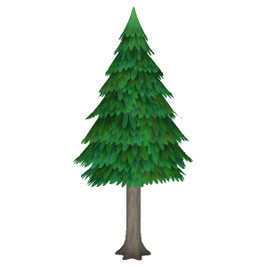 Conifer tree