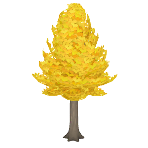 Ginkgo tree
