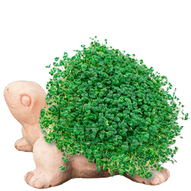 Animal-shaped planter